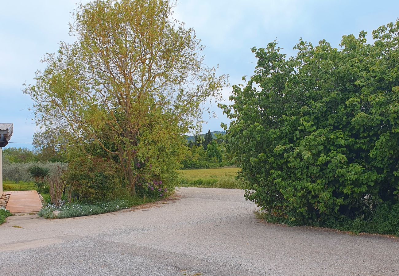 Gîte Rural à La Brillanne - Les syrphes