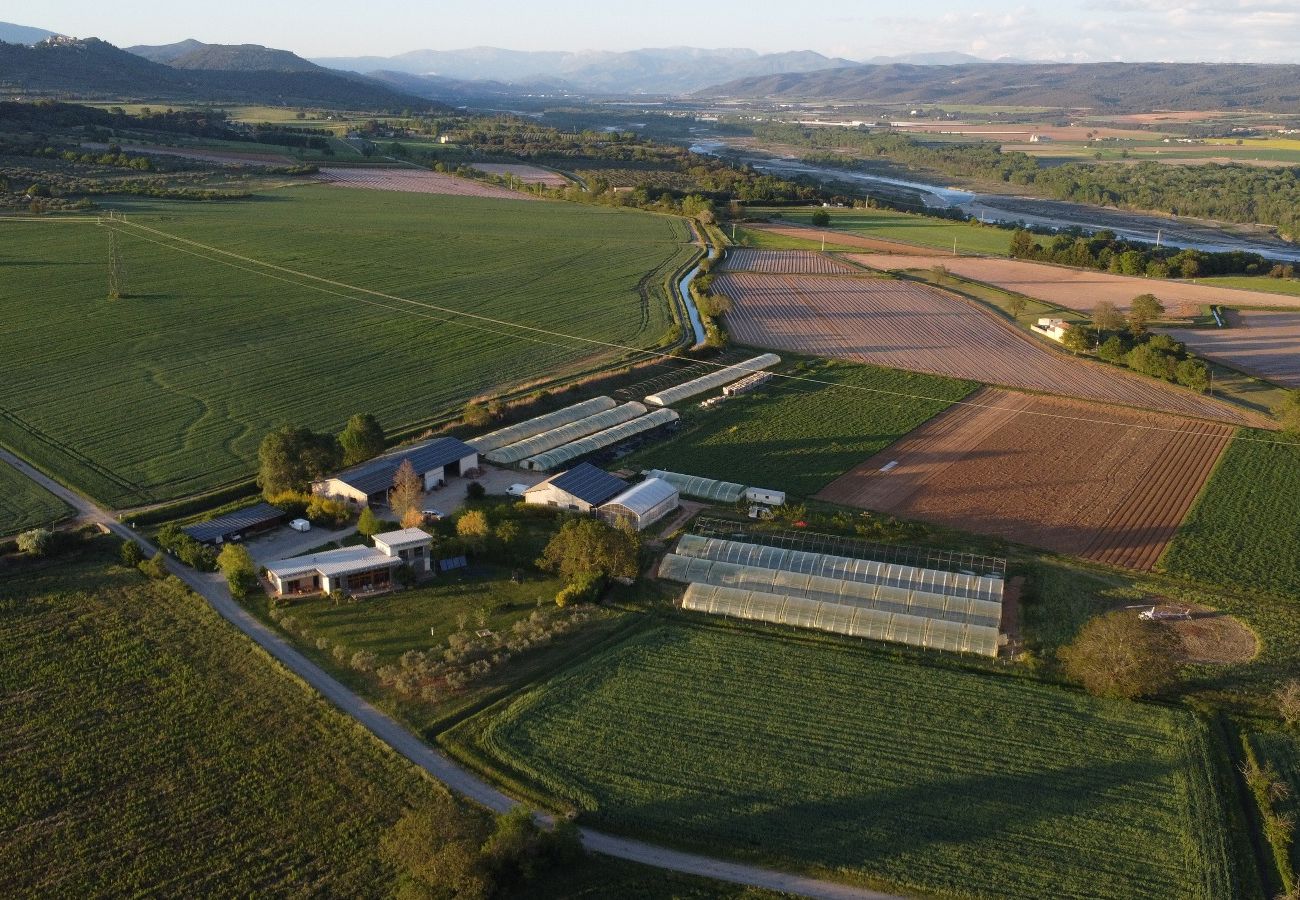 Gîte Rural à La Brillanne - Les syrphes