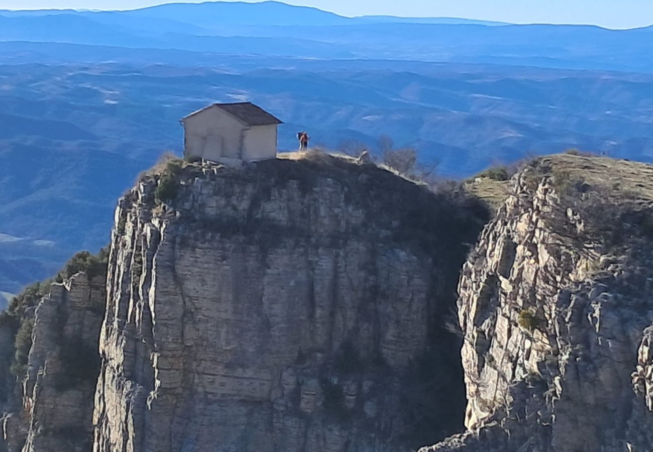 Gîte Rural à La Brillanne - Les syrphes