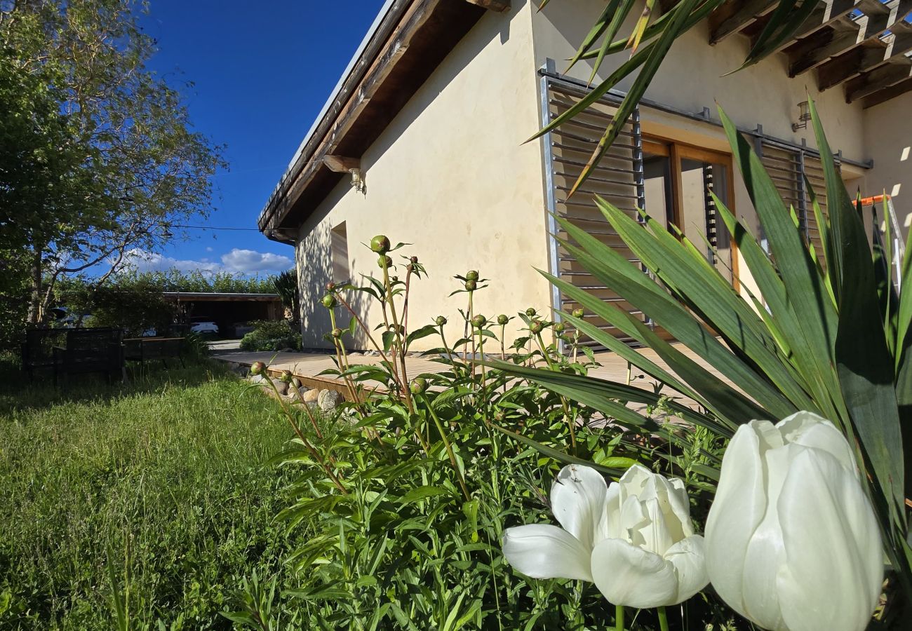 Gîte Rural à La Brillanne - Les syrphes