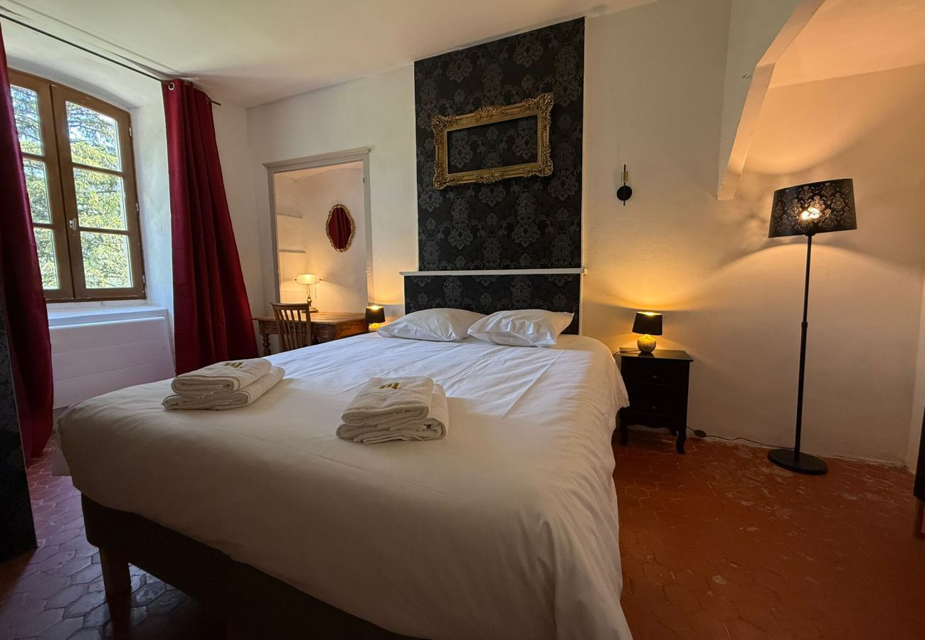 Domaine à Montfroc - Le château de Montfroc - spa - salle cinéma - 16p