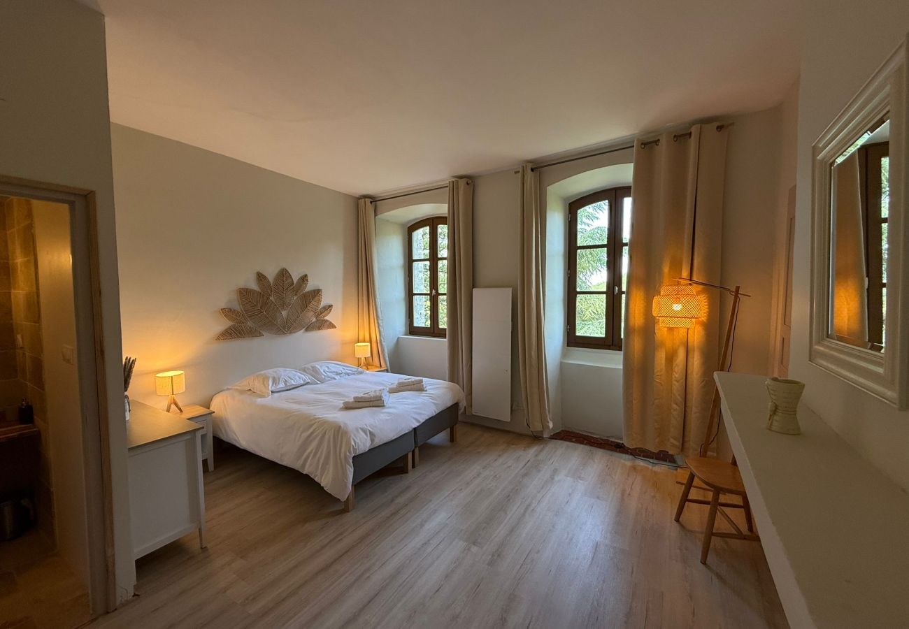 Domaine à Montfroc - Le château de Montfroc - spa - salle cinéma - 16p