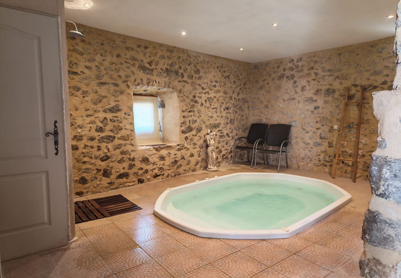 Domaine à Montfroc - Le château de Montfroc - spa - salle cinéma - 16p