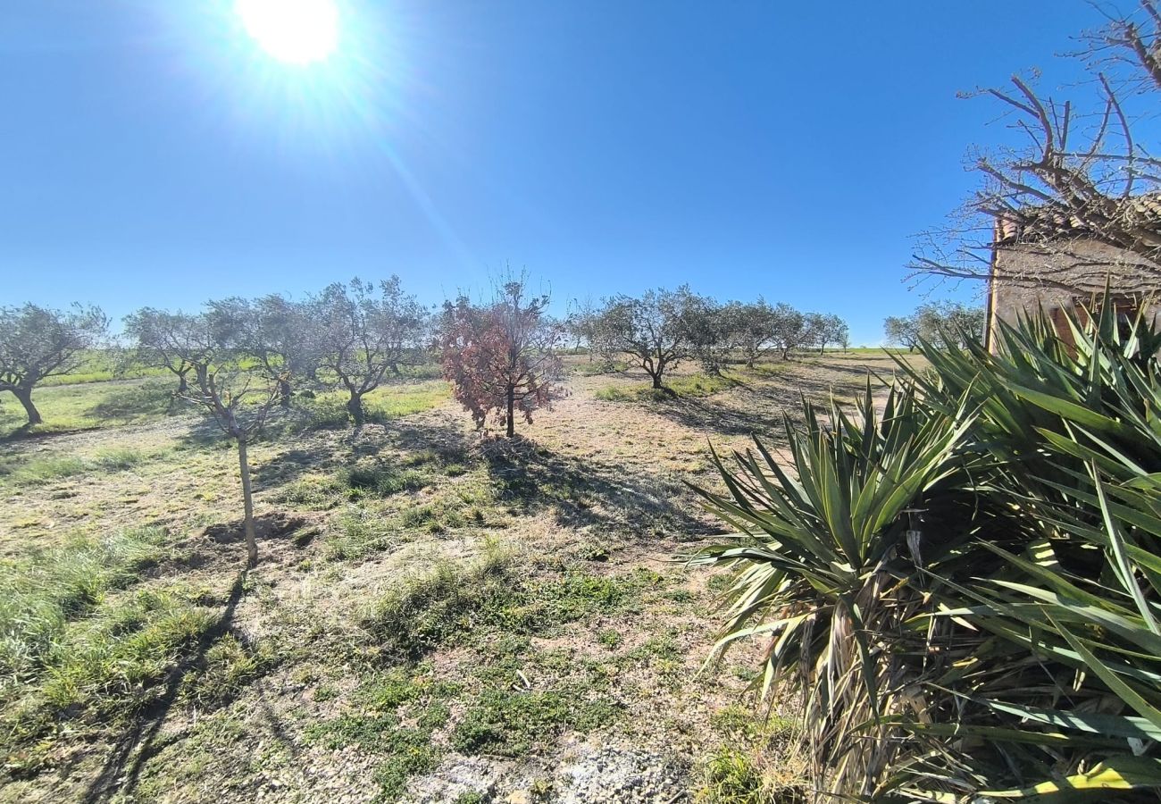 Maison à Puimoisson - Le Puits des Oliviers