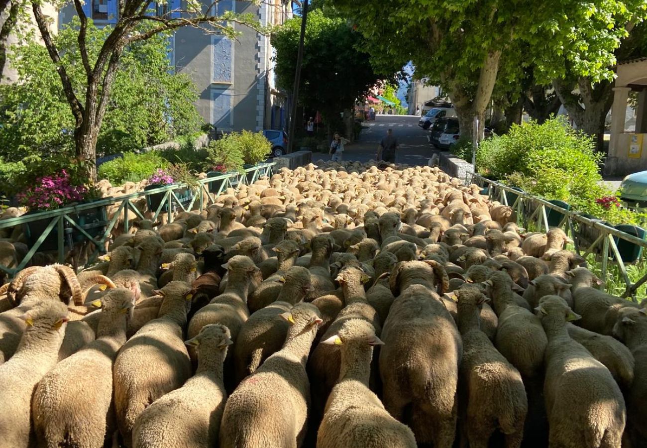 Villa à Thoard - Villa les Jules